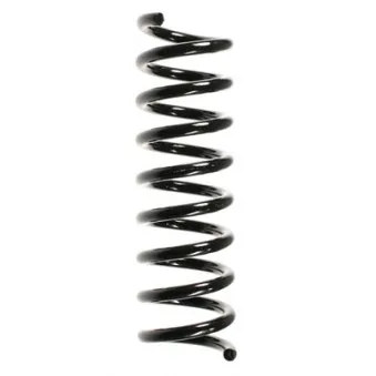 Ressort de suspension SPIDAN 49702