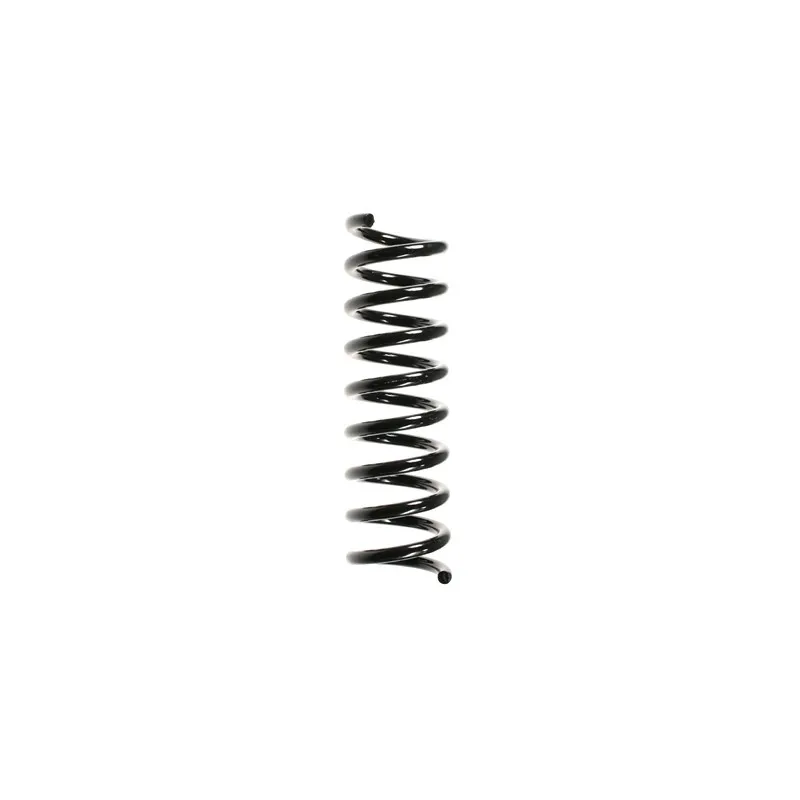 Ressort de suspension SPIDAN 49702