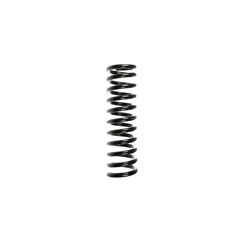 Ressort de suspension SPIDAN 49703