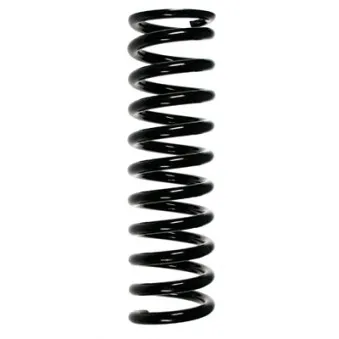 Ressort de suspension SPIDAN 49704