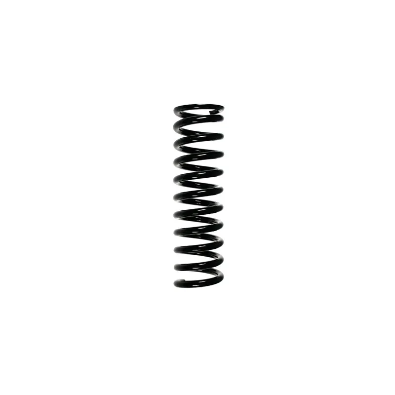 Ressort de suspension SPIDAN 49704