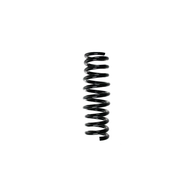 Ressort de suspension SPIDAN 49706