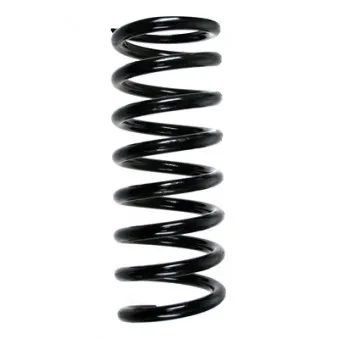 Ressort de suspension SPIDAN 49709