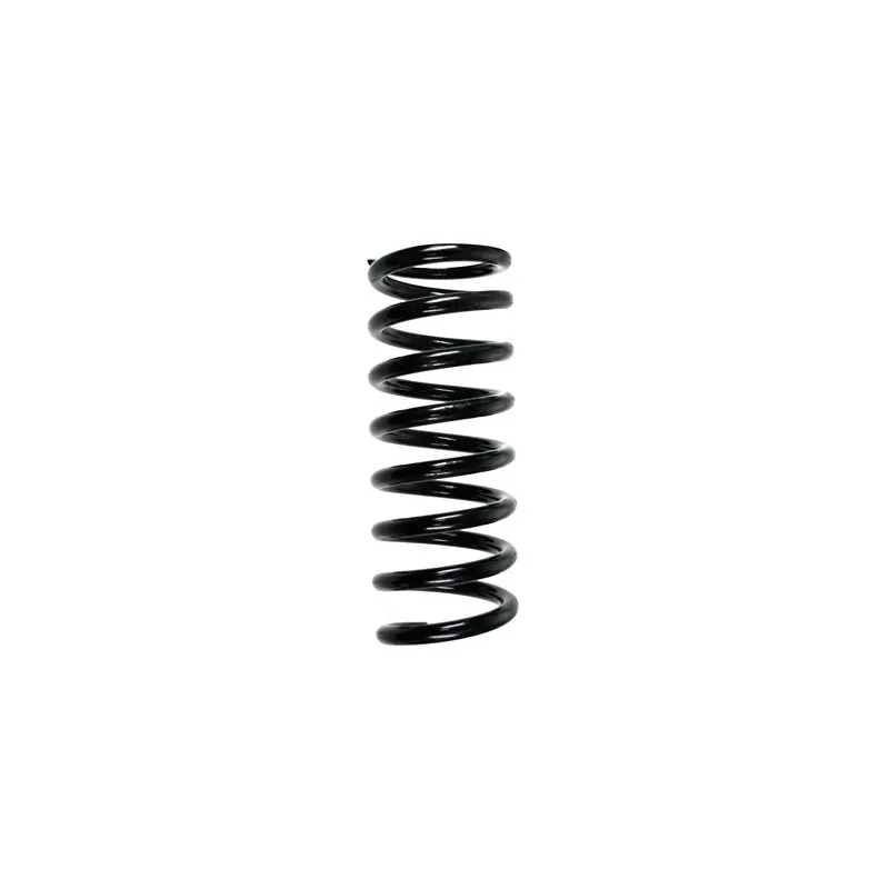 Ressort de suspension SPIDAN 49709