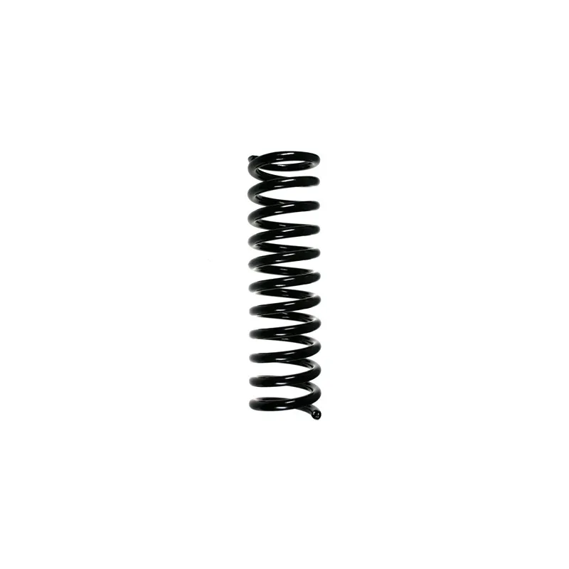 Ressort de suspension SPIDAN 49711