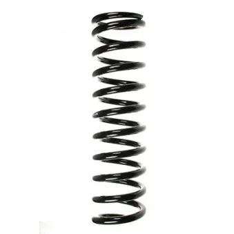 Ressort de suspension SPIDAN 49712