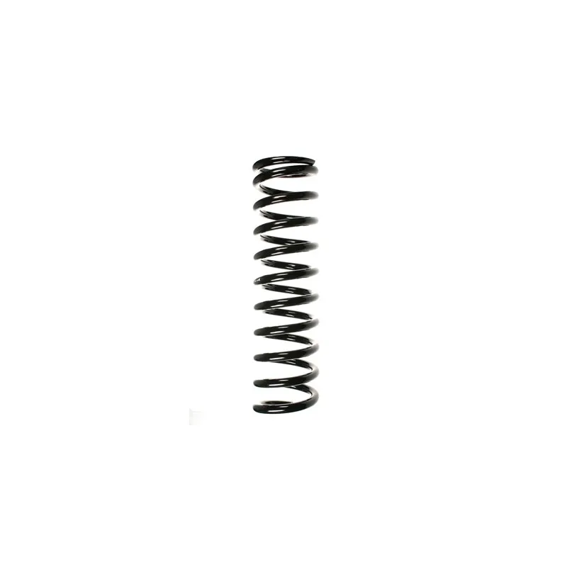 Ressort de suspension SPIDAN 49712
