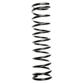 Ressort de suspension SPIDAN 49713