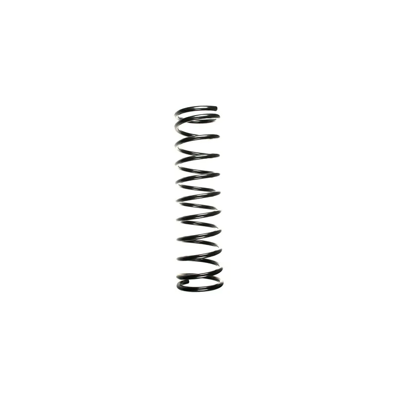 Ressort de suspension SPIDAN 49713