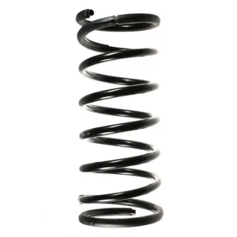 Ressort de suspension SPIDAN 49714