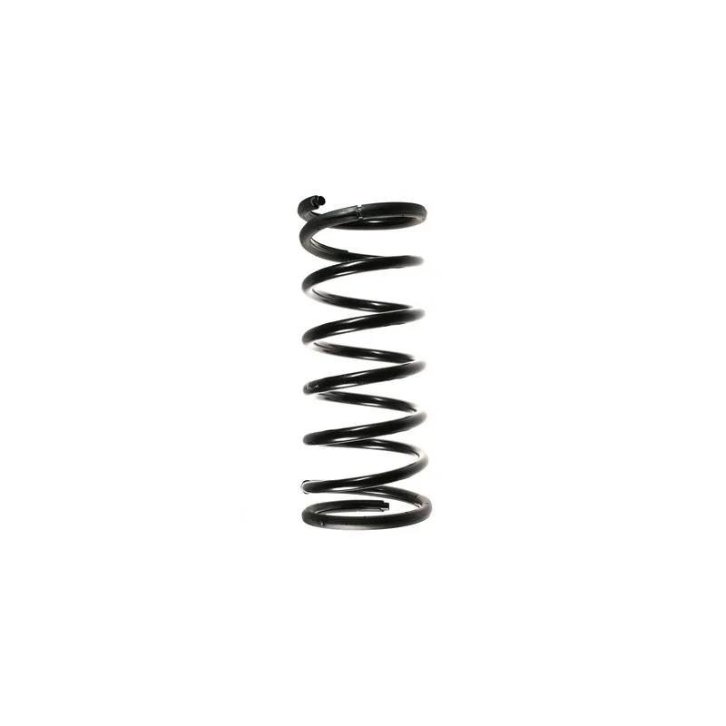 Ressort de suspension SPIDAN 49714