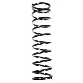 Ressort de suspension SPIDAN 49715