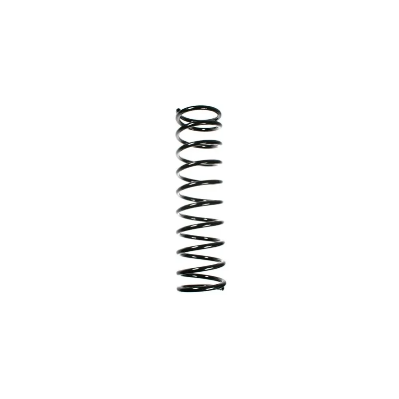 Ressort de suspension SPIDAN 49715
