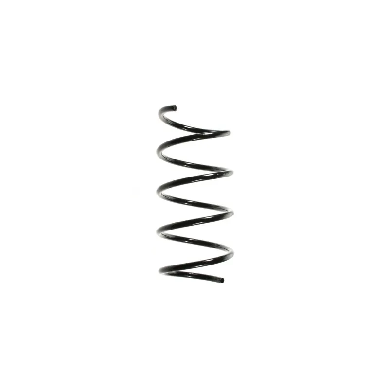 Ressort de suspension SPIDAN 49718