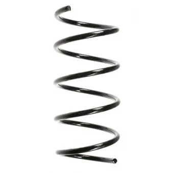 Ressort de suspension SPIDAN 49720