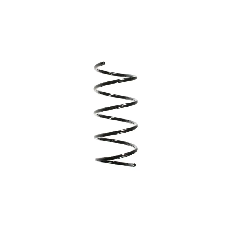 Ressort de suspension SPIDAN 49720