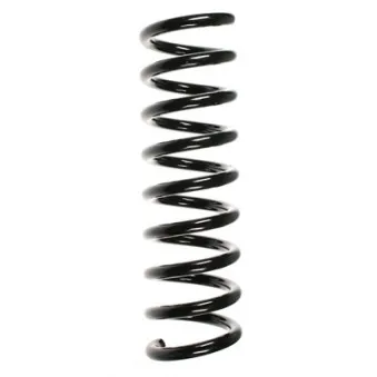 Ressort de suspension SPIDAN 49722