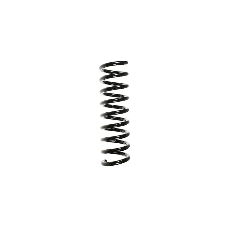Ressort de suspension SPIDAN 49722
