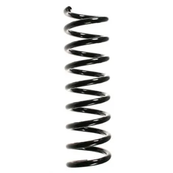 Ressort de suspension SPIDAN 49723