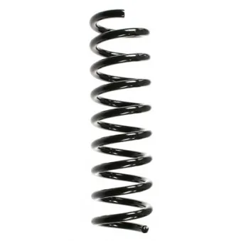 Ressort de suspension SPIDAN 49724