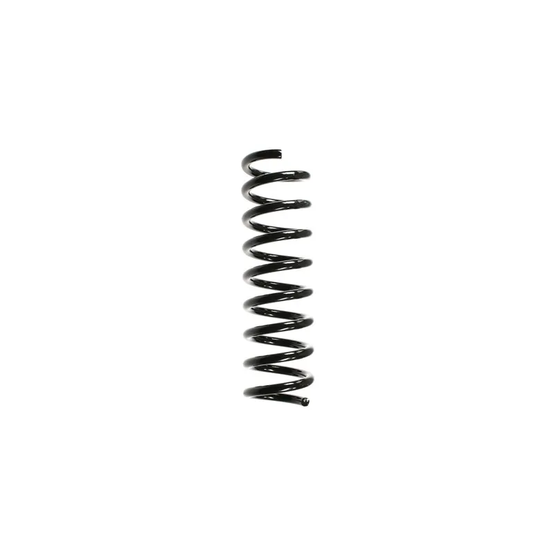 Ressort de suspension SPIDAN 49724