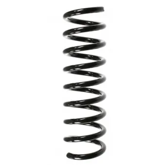 Ressort de suspension SPIDAN 49725