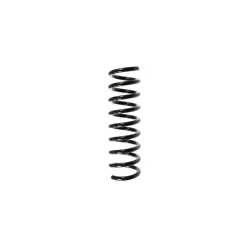 Ressort de suspension SPIDAN 49725