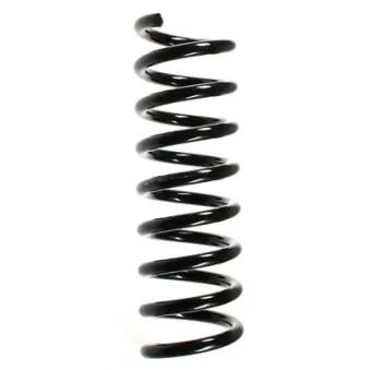 Ressort de suspension SPIDAN 49726