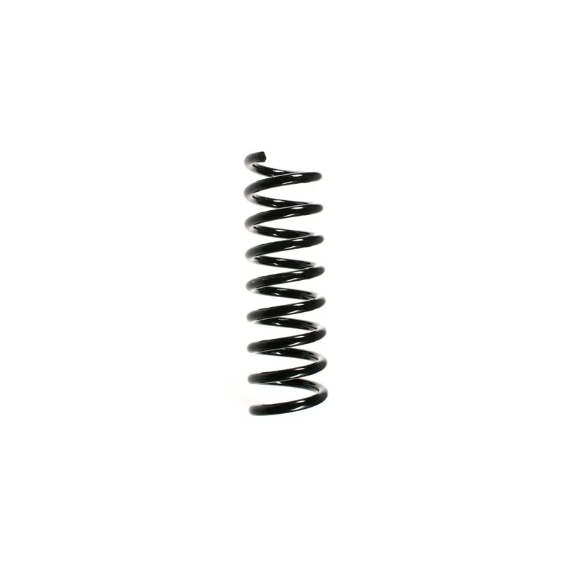 Ressort de suspension SPIDAN 49726