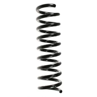 Ressort de suspension SPIDAN 49727
