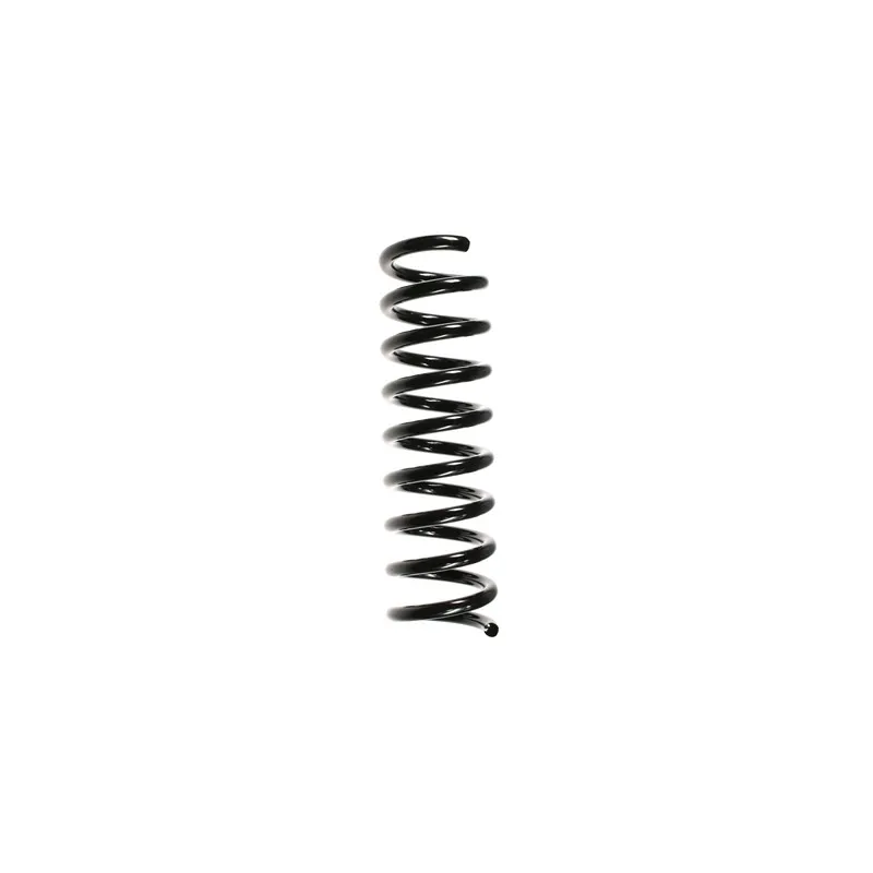 Ressort de suspension SPIDAN 49727
