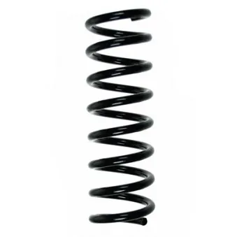 Ressort de suspension SPIDAN 49728