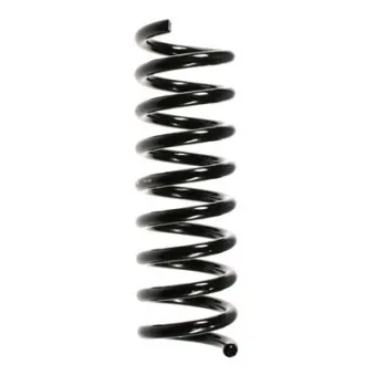 Ressort de suspension SPIDAN 49729