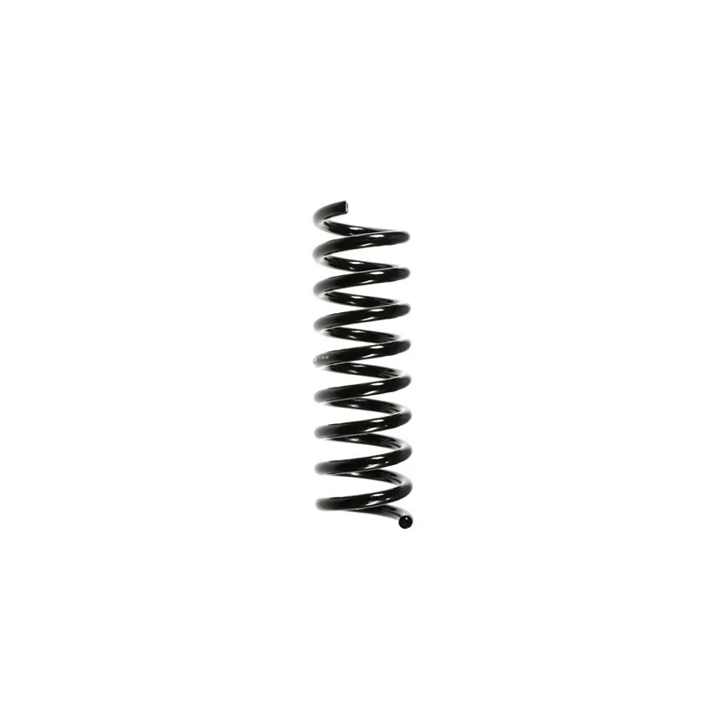 Ressort de suspension SPIDAN 49729