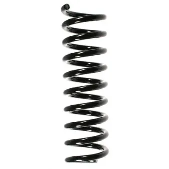 Ressort de suspension SPIDAN 49730