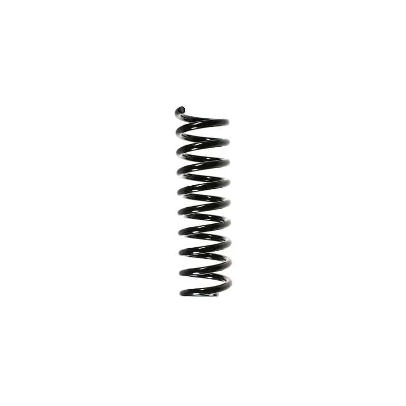 Ressort de suspension SPIDAN 49730