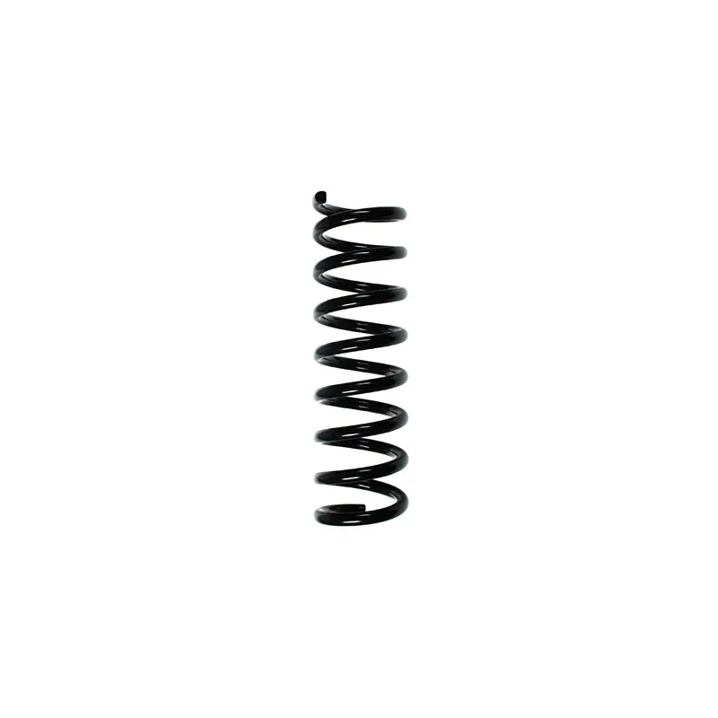Ressort de suspension SPIDAN 49731