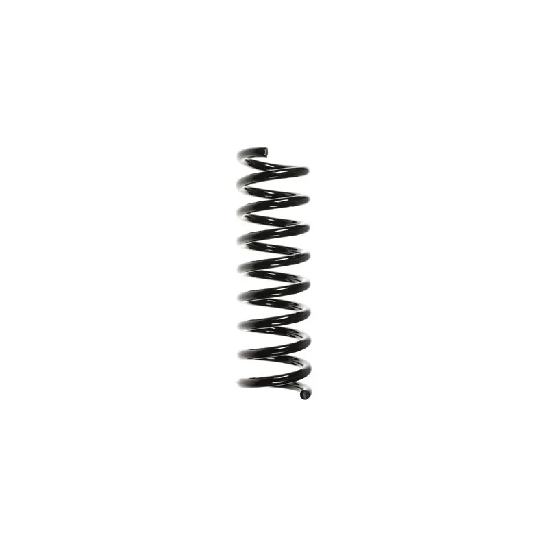 Ressort de suspension SPIDAN 49732