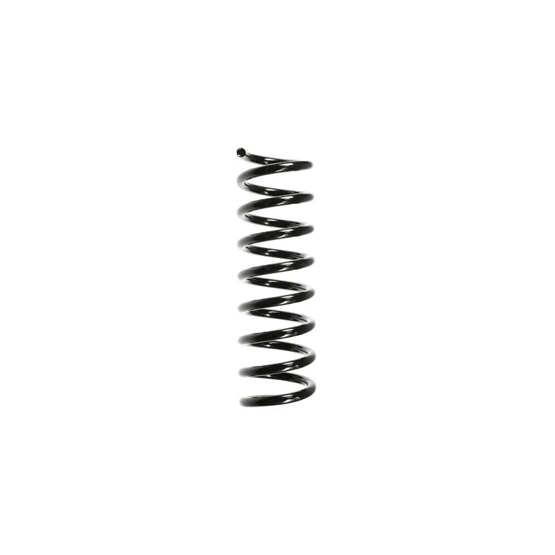 Ressort de suspension SPIDAN 49733