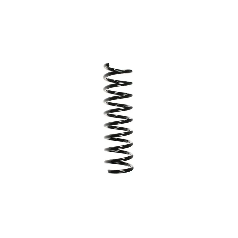Ressort de suspension SPIDAN 49734