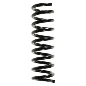 Ressort de suspension SPIDAN 49735
