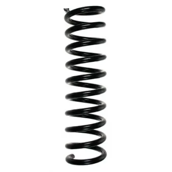 Ressort de suspension SPIDAN 49736