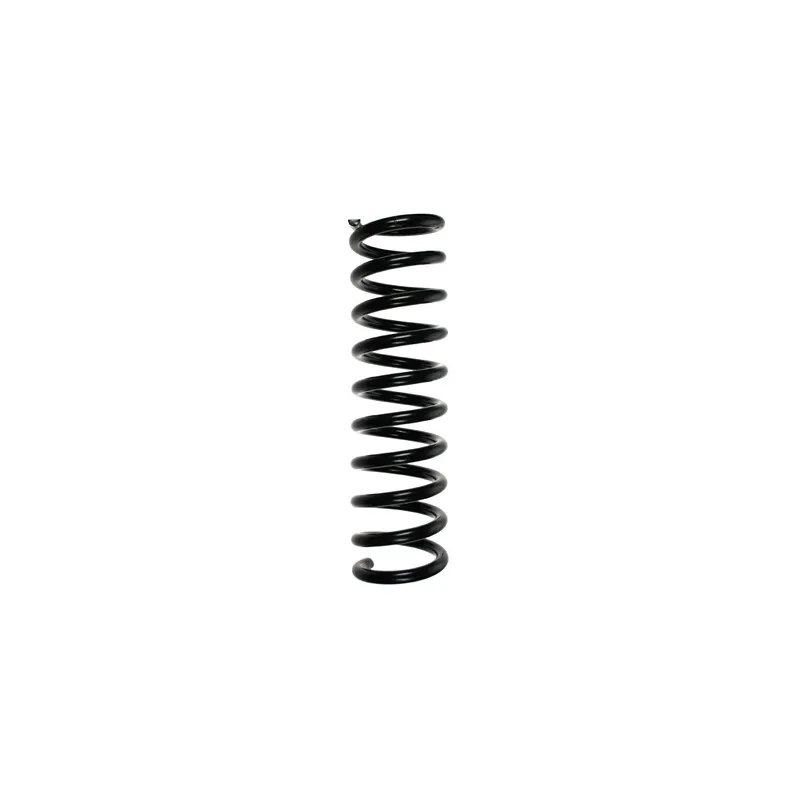 Ressort de suspension SPIDAN 49736