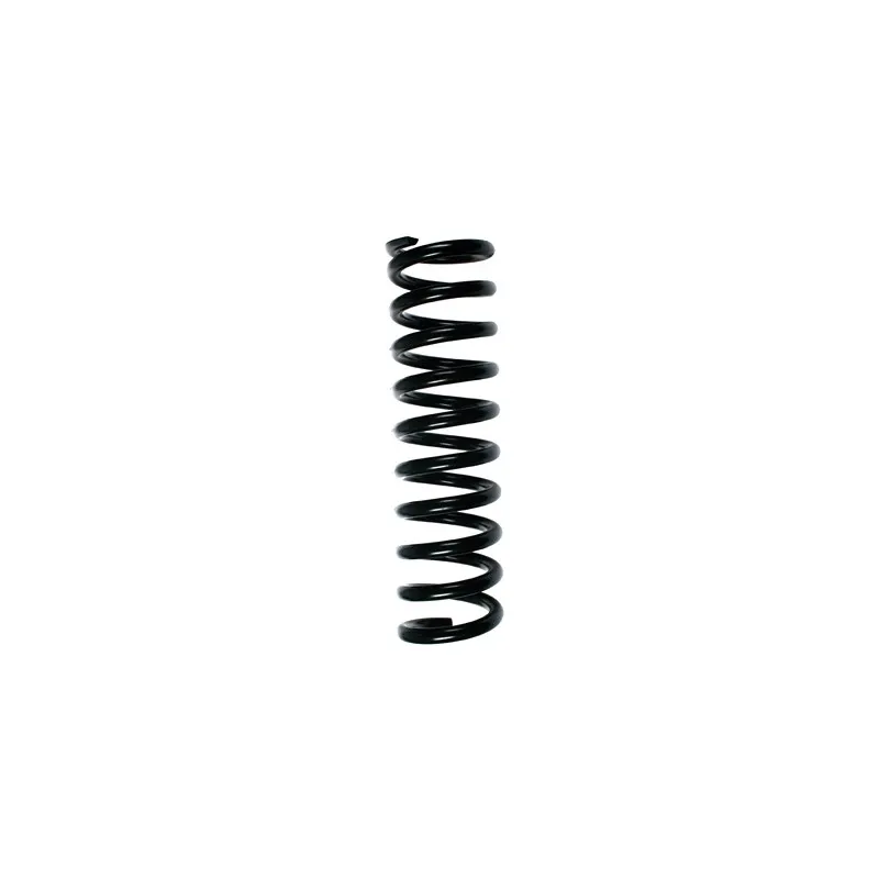 Ressort de suspension SPIDAN 49737