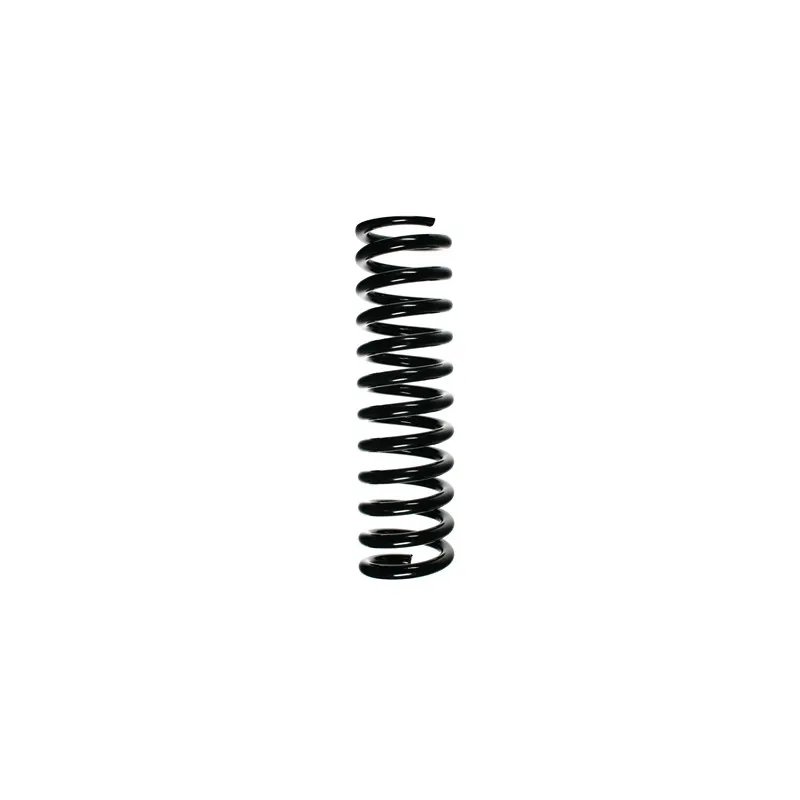 Ressort de suspension SPIDAN 49738