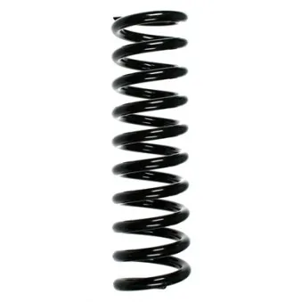 Ressort de suspension SPIDAN 49739