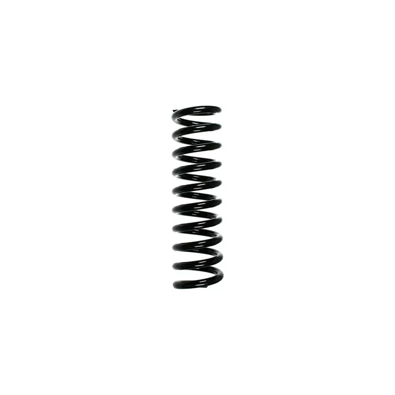 Ressort de suspension SPIDAN 49739