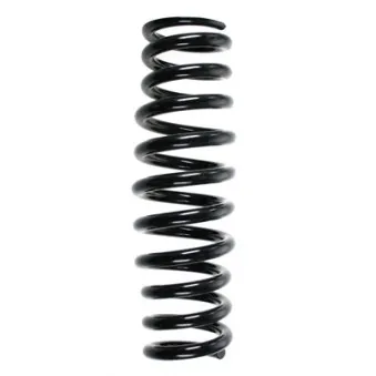 Ressort de suspension SPIDAN 49740