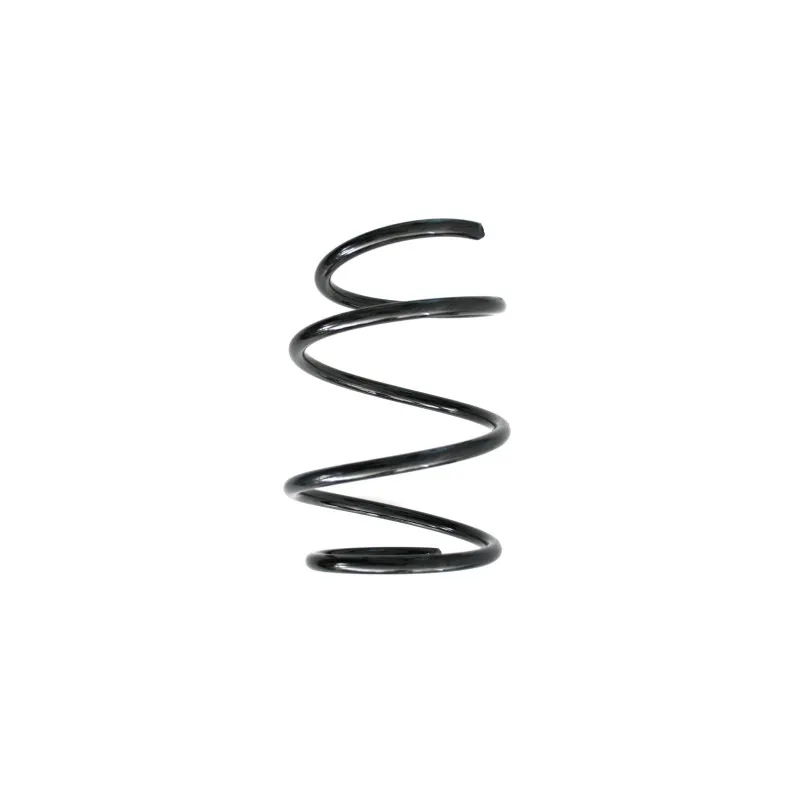 Ressort de suspension SPIDAN 49754