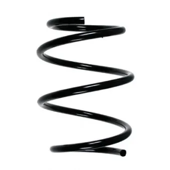 Ressort de suspension SPIDAN 49755